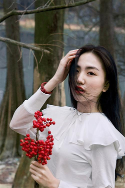 免费聊天的十大软件